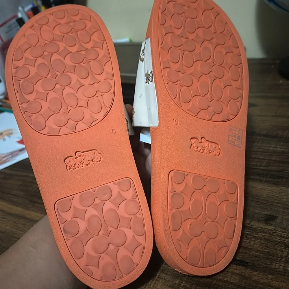 Coach - Picture 5 of 5